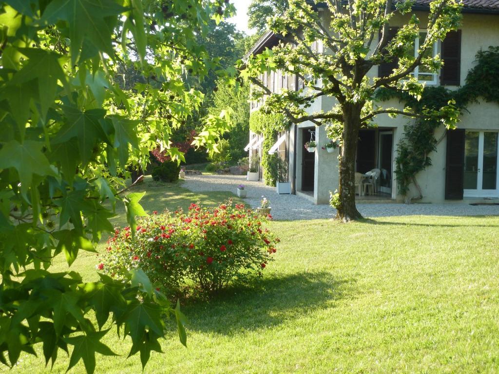 Chambres D'Hotes La Buissounette La Buisse Exterior foto